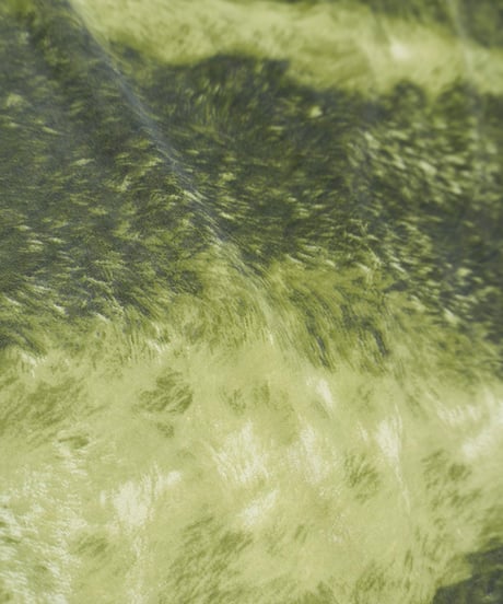Abstract Grass Print Mesh Paneled Skirt