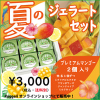Ruggeri）夏のジェラートセット