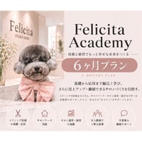 【一括払い】Felicita Academy 6ヶ月プラン