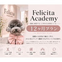 【3回払い】FelicitaAcademy12ヶ月プラン