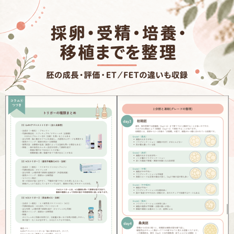 セラピストのための不妊治療の教科書｜検査・薬・採卵・移植を一冊で【PDF・全47ページ】