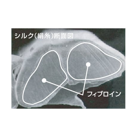 DDS PSC 100 パウダーセラム（粉状美容液）9g（パフ付）