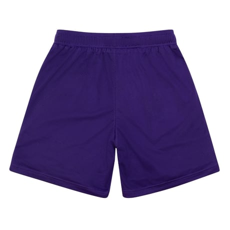 SPINE MESH SHORTS PURPLE