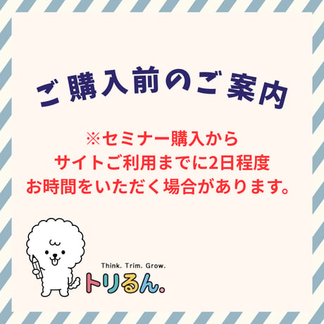 韓国テディ 入門 　アーカイブ