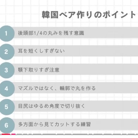 韓国テディ 入門 　アーカイブ