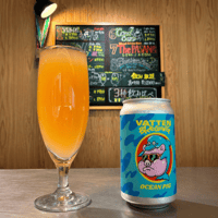 OCEAN PIG  /  Fruits Gose