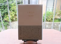 寺尾紗穂『天使日記』