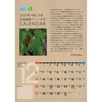 【卸・ノベルティ向け】北海道産ハンノキのCALENDAR 2027