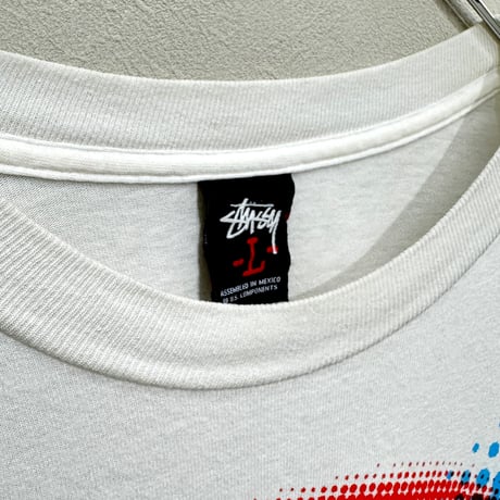 STUSSY(00s) / SPRAY GRAPHIC TEE(L)