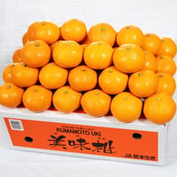 【JA熊本うき・Aセット】　美味柑（びみかん）5kg