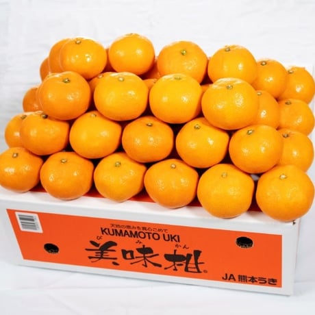 【JA熊本うき】美味柑（びみかん）10kg