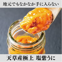 【藍のあまくさ村・Aセット】　天草産極上　塩紫うに