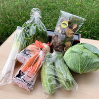 【あそ四季彩・Bセット】　阿蘇の新鮮な野菜の詰め合わせ＆高菜漬けのセット