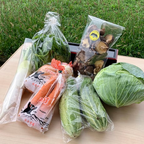 【あそ四季彩・Bセット】　阿蘇の新鮮な野菜の詰め合わせ＆高菜漬けのセット