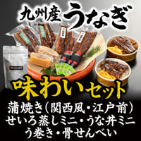 【うなぎの柳川】九州産うなぎ 味わいセット
