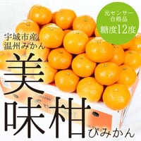 【JA熊本うき】美味柑（びみかん）10kg