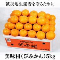 【JA熊本うき・Aセット】　美味柑（びみかん）5kg