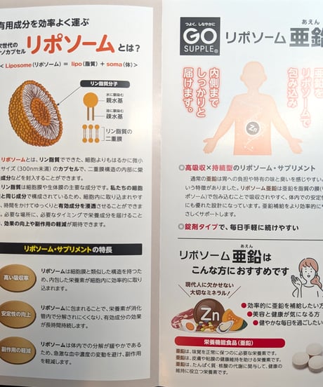 GO SUPPLE リポソーム亜鉛