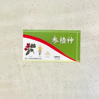 【サンザシン】参査神