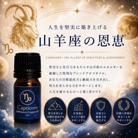 【山羊座】仕事運 ・達成力向上