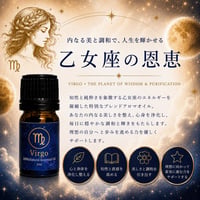 【乙女座】健康運・集中力向上