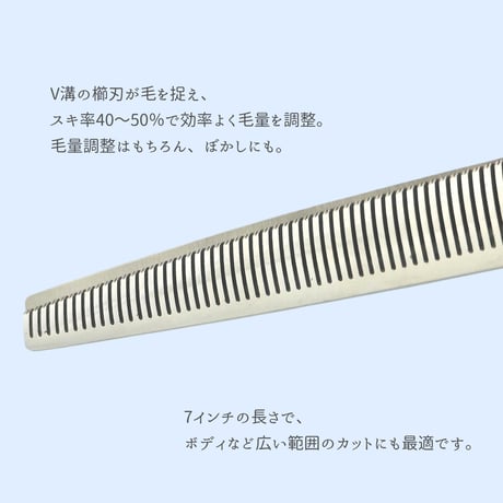 【ペット】one model　Vセニング 40-50％