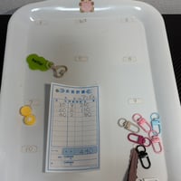 アンジェリカ