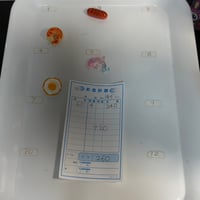 ゆかこ