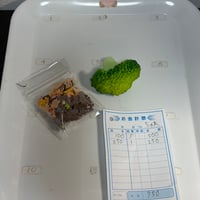 ちゃま