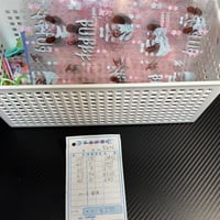 ちひろん
