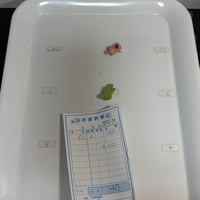 まなみ