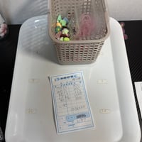 ゆうゆ