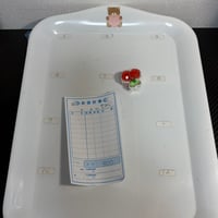もみじ