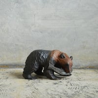 小さい熊