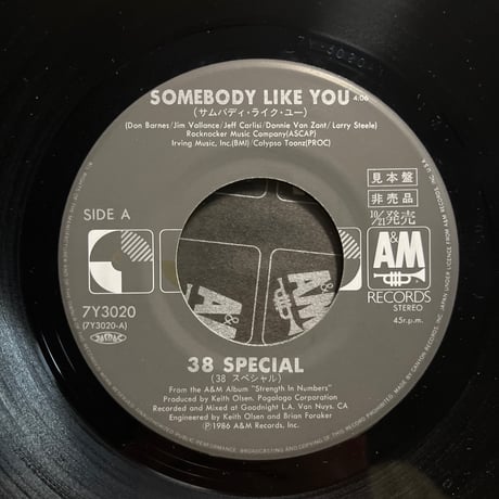 38 SPECIAL / SOMEBODY LIKE YOU