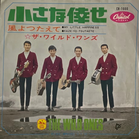 ザ・ワイルド・ワンズ/小さな倖せ