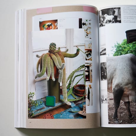 Wolfgang Tillmans | Things matter / Dinge zählen ヴォルフガング・ティルマンス作品集
