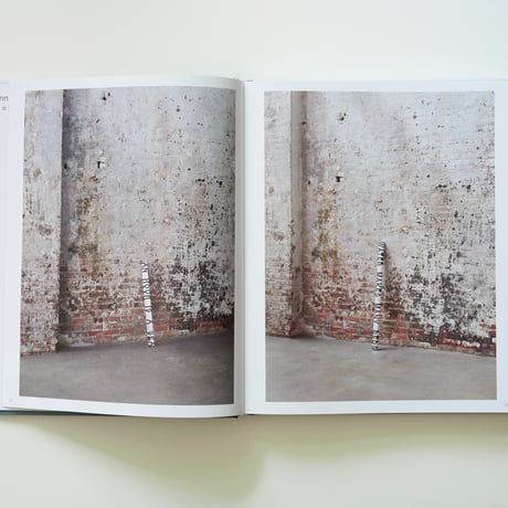 Roni Horn - WATER WATER ON THE WALL, YOU’RE THE FAIREST OF THEM ALL by Roni Horn
