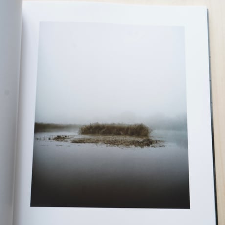 Jem Southam | Starlings
