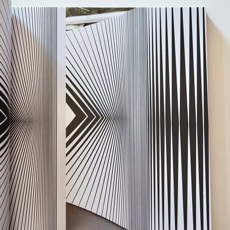 Bridget Riley｜Bridget Riley　ブリジット・ライリー