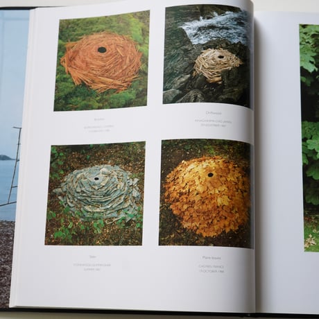 ANDY GOLDSWORTHY  [Used]