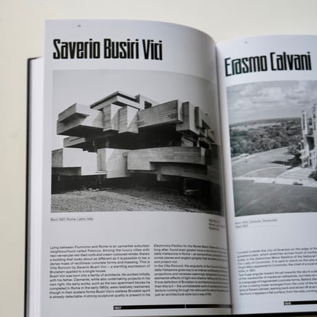 Owen Hopkins  The Brutalists: Brutalism’s Best Architects