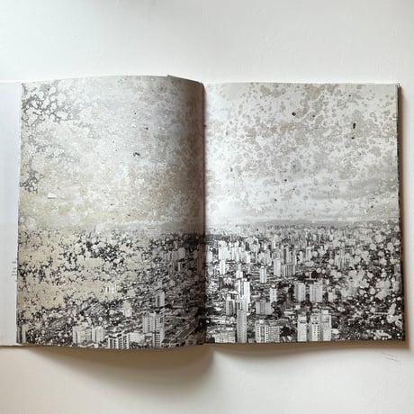 Anselm Kiefer