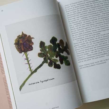Various Artists｜SEEDS – RECLAIMING ROOTS, SOWING FUTURES