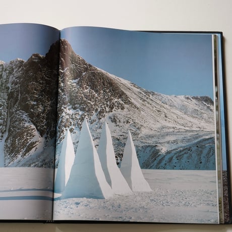 ANDY GOLDSWORTHY  [Used]