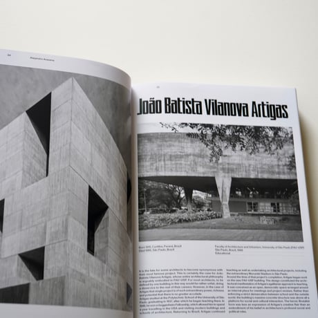 Owen Hopkins  The Brutalists: Brutalism’s Best Architects