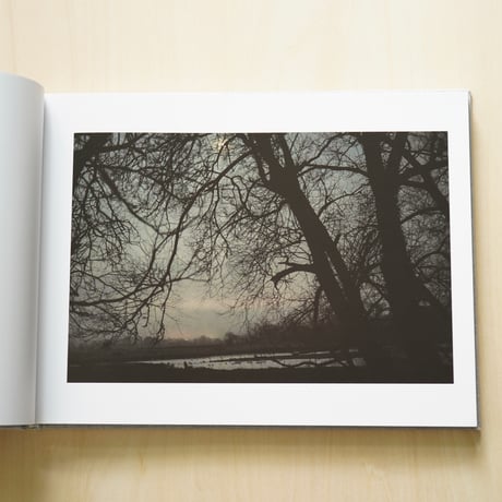 Jem Southam | Four Winters