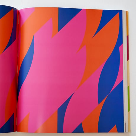 Bridget Riley｜Bridget Riley　ブリジット・ライリー