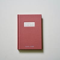 Nigel Peake / APPUNTI SU ALCUNI DIPINTI
