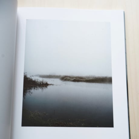 Jem Southam | Starlings